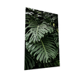 QUADRO COSTELA 100X160