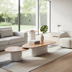 Conjunto de Mesa de Centro Francis