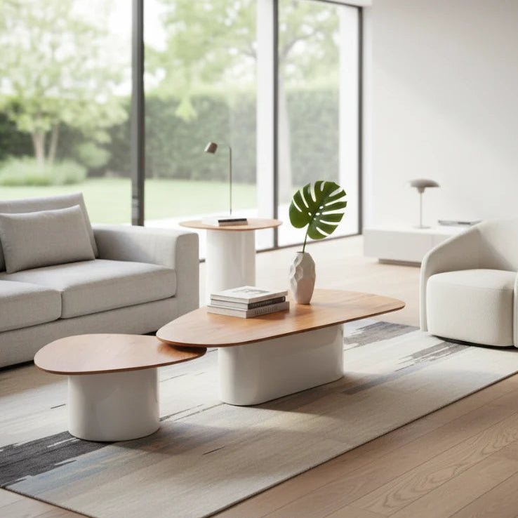 Conjunto de Mesa de Centro Francis